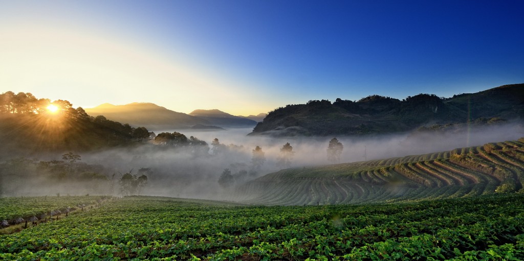 AngKhang_Argicultural-Station