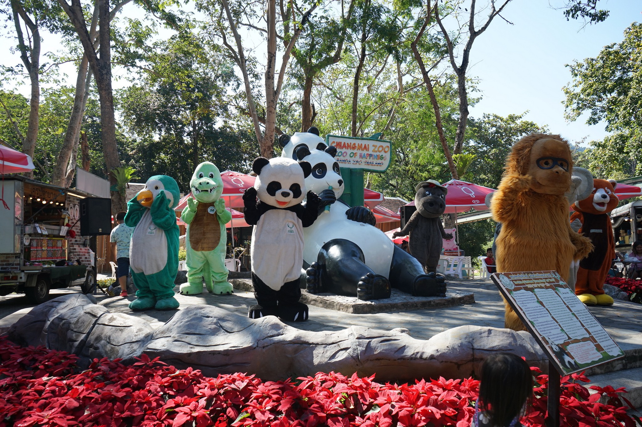 Chiang-Mai-Zoo-cover