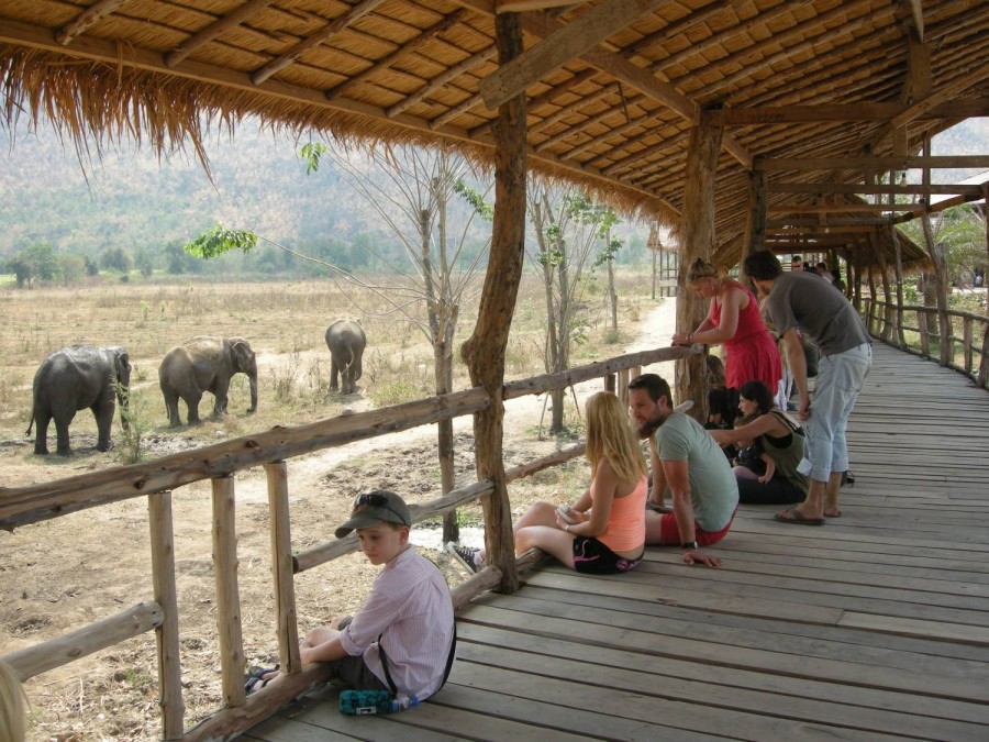 ElephantsWorld-Kanchanaburi