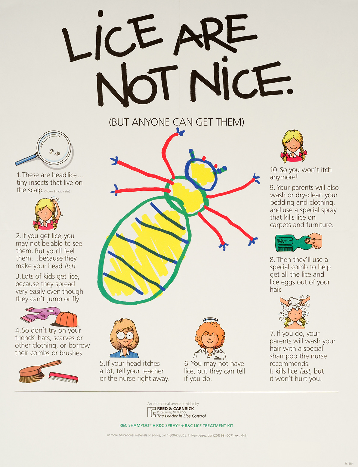Lice infograph
