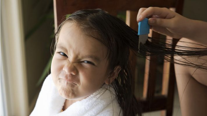 Girl being combed for hair lice