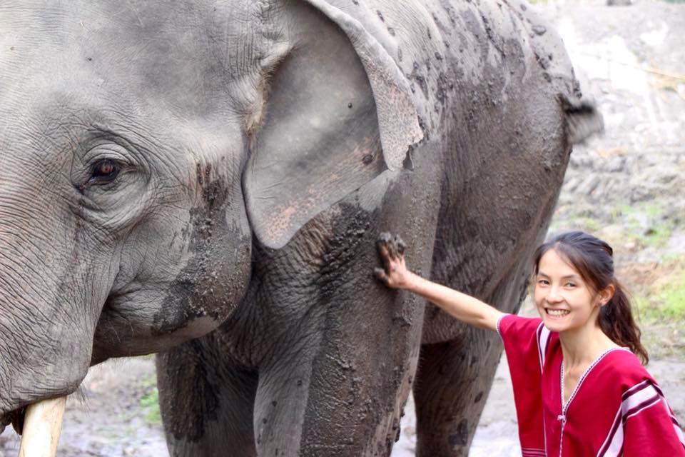 Save Elephant Foundation - Lek