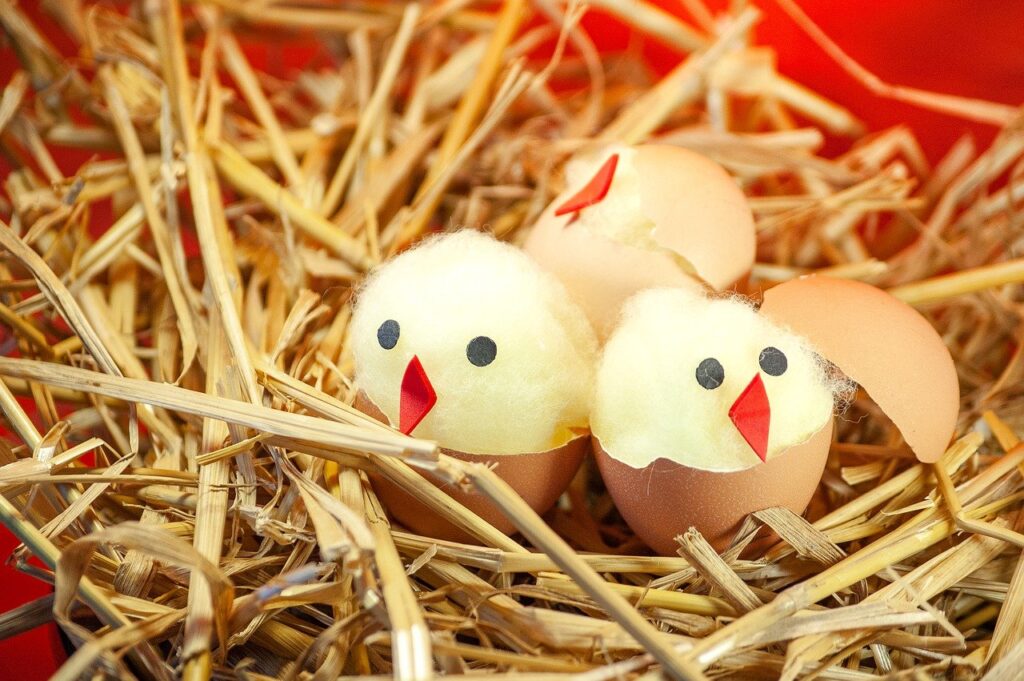 DIY Easter chicks