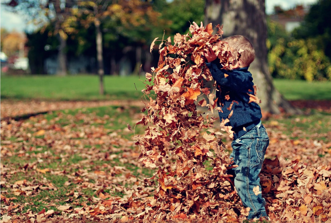Forest School