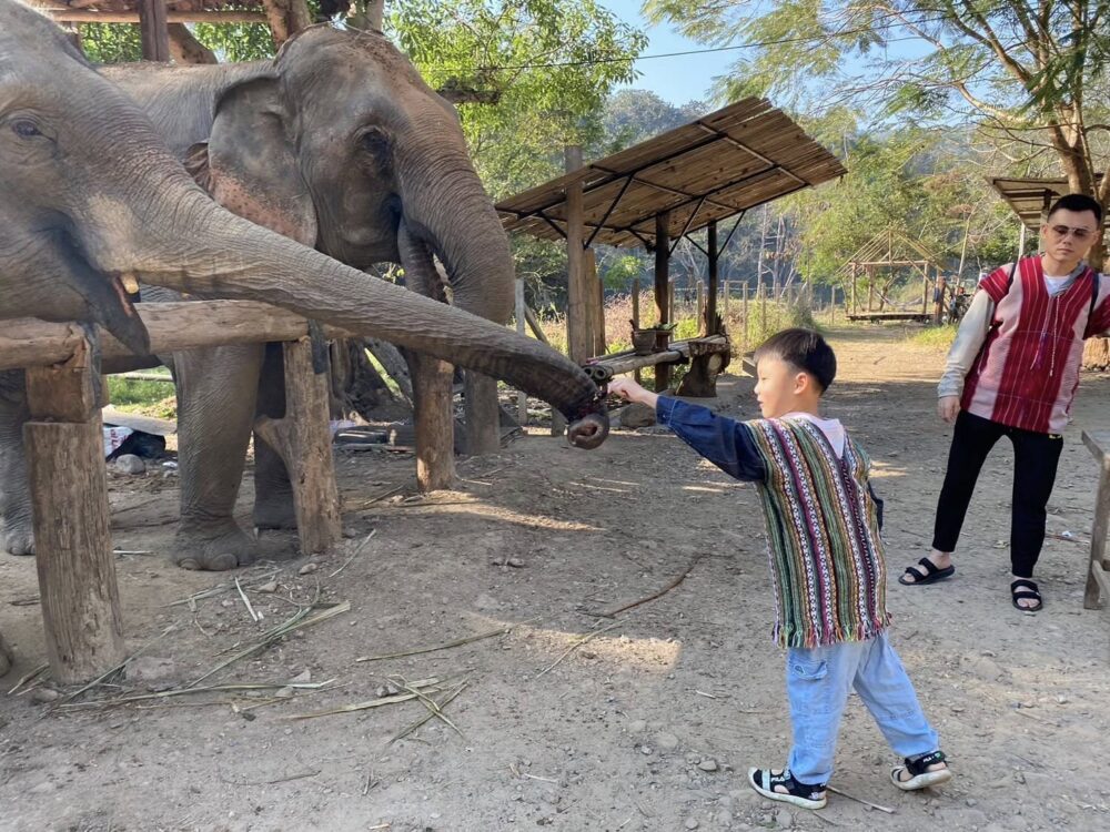 Elephant Habitat – Ethics Conservation