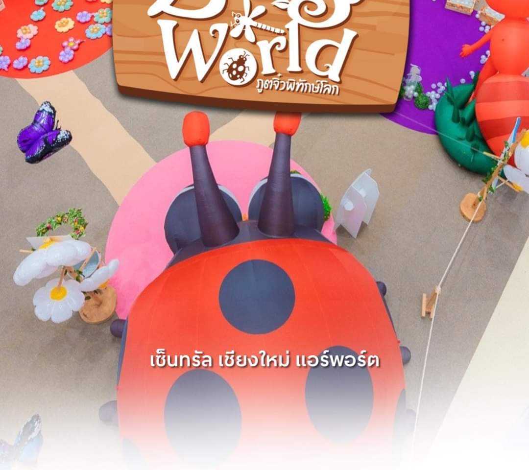 Central Chiangmai Airport - Bug World