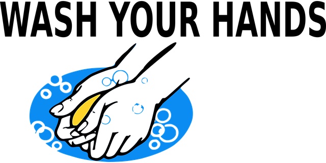 wash your hands infographic