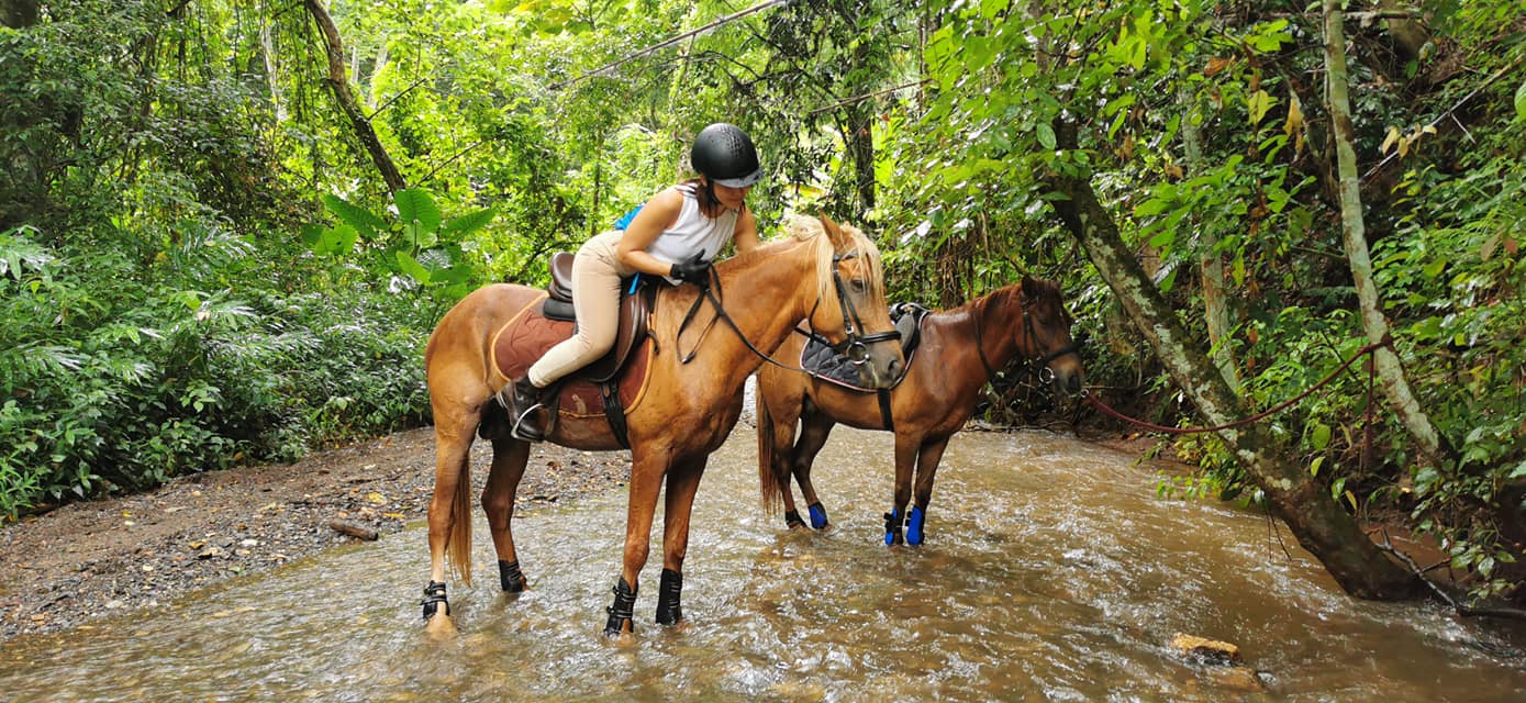 Montana Horse Riding Club,Thailand 1