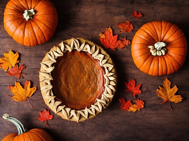 pumpkin-pies-7585580_640