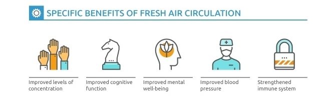 Panyaden-The-Importance-of-Daylight-and-Fresh-Air-in-the-Classroom-Infographic-1