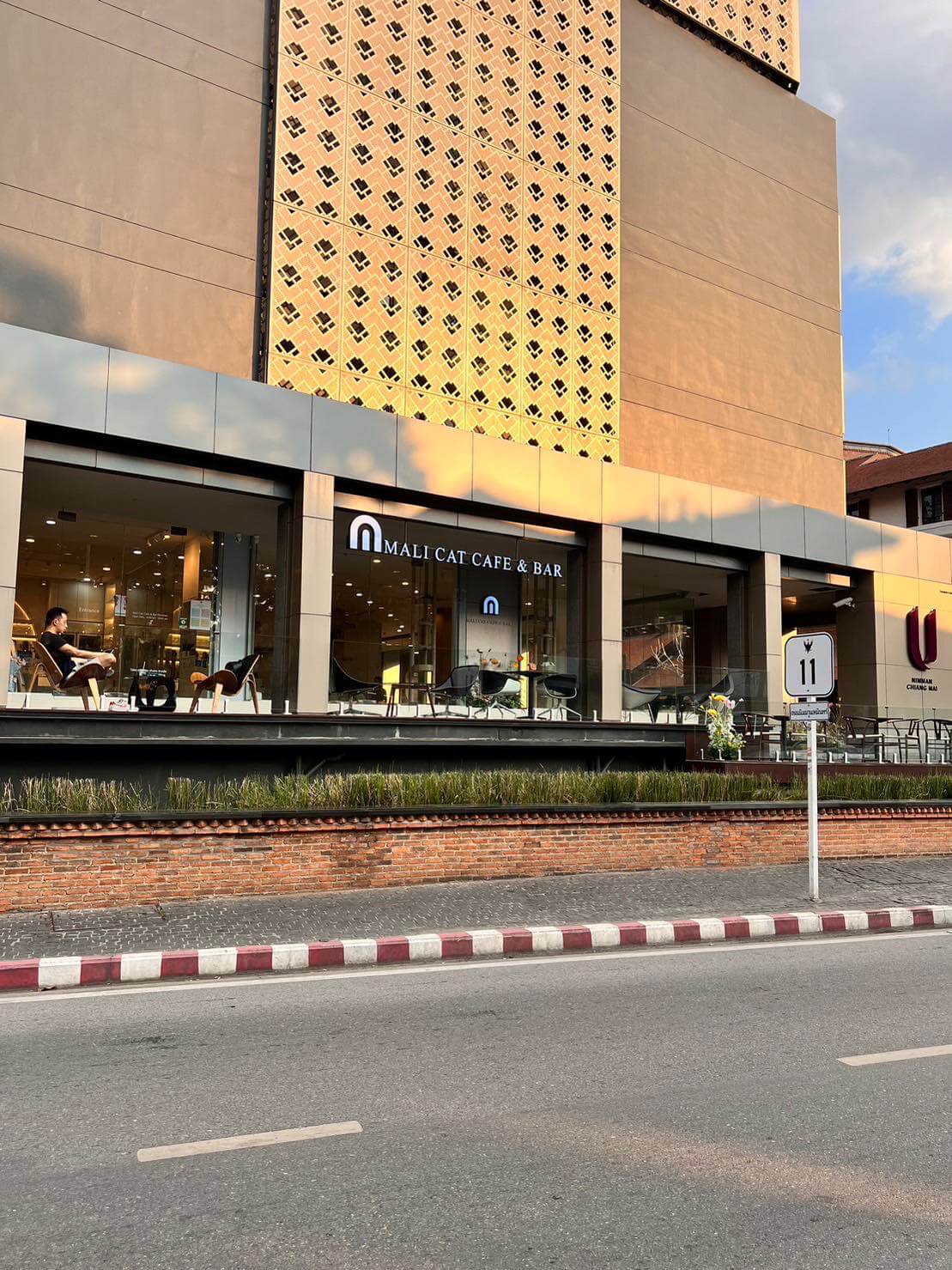 Mali Cat Cafe & Bar Nimman Chiang Mai