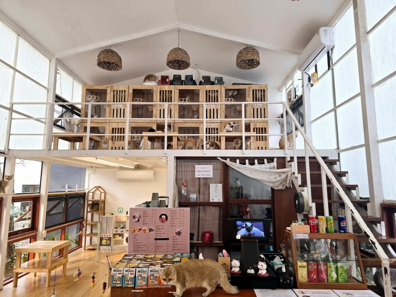 Por Phu cat cafe