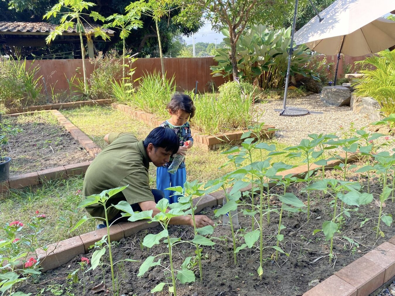 WOWS – Nature Learning Center