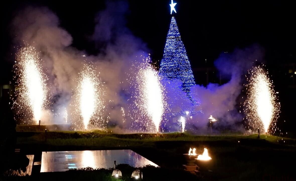 Four Seasons Resort Tree Lighting & Festive Season