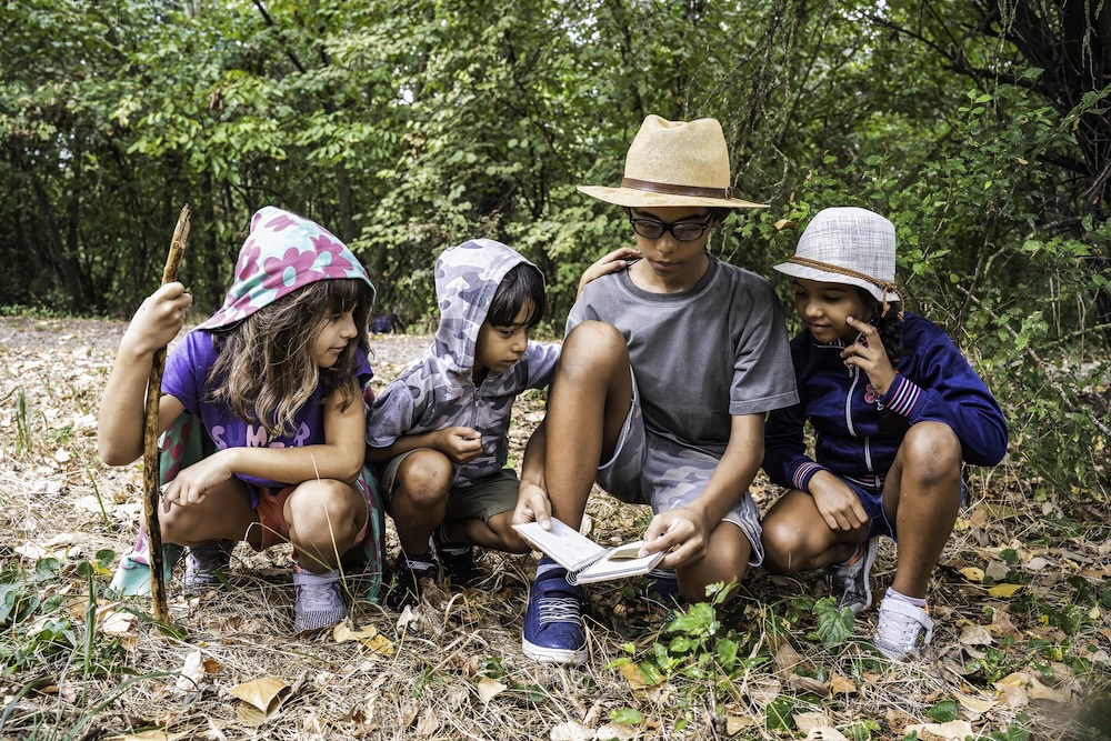 iStock-Kids camp in forest